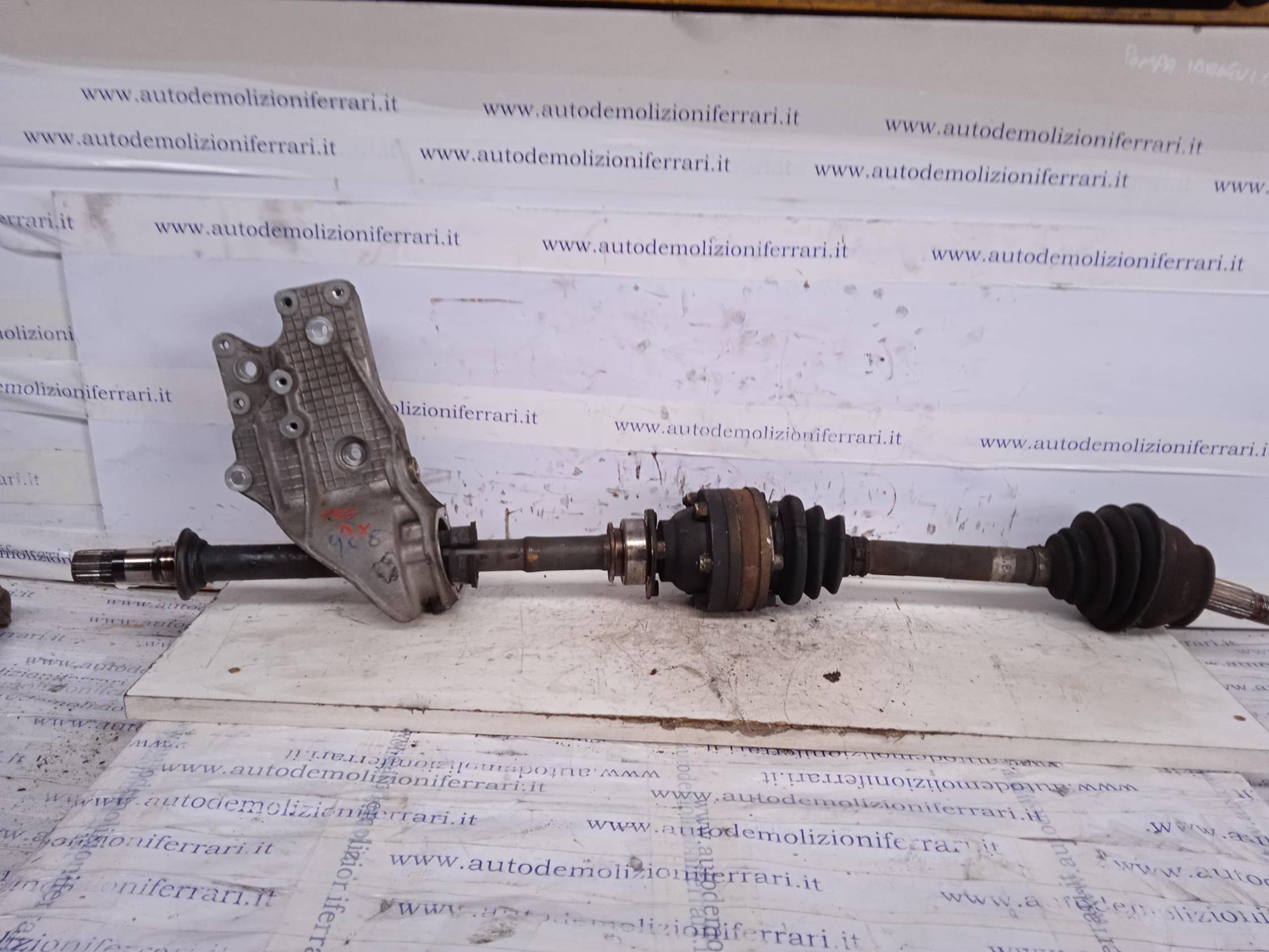 Semialbero ant. compl. dx.